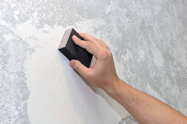 Mold Documentation for Insurance Claims in Earlville, IL