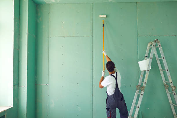 Best Attic Mold Removal  in Earlvle, IL