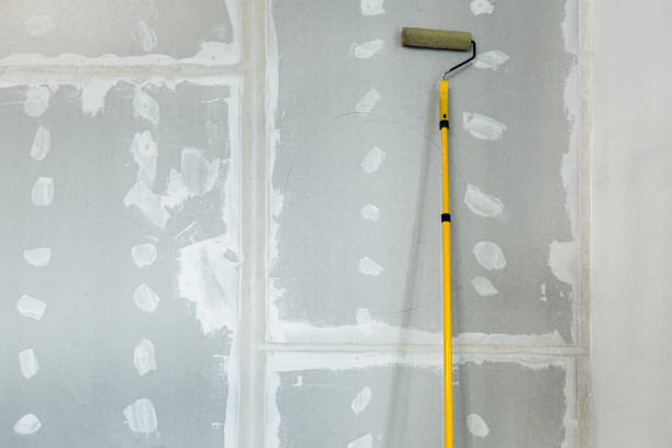 Best Crawl Space Mold Remediation  in Earlvle, IL