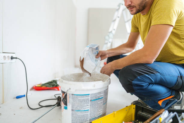 Best Mold Prevention Services  in Earlvle, IL